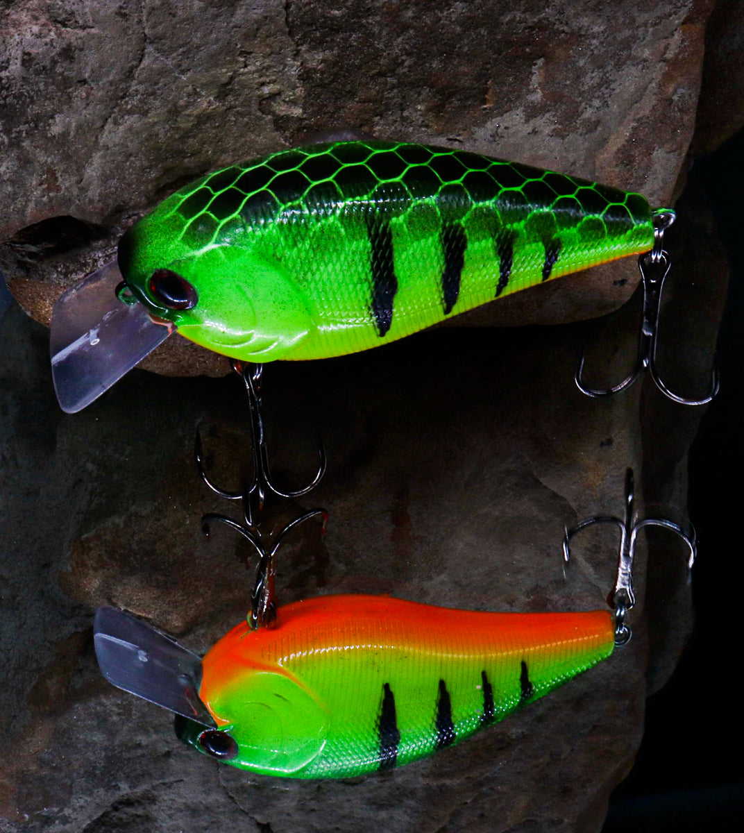 2.5 Square Bill Fire Tiger Knocker leatherheadbaits