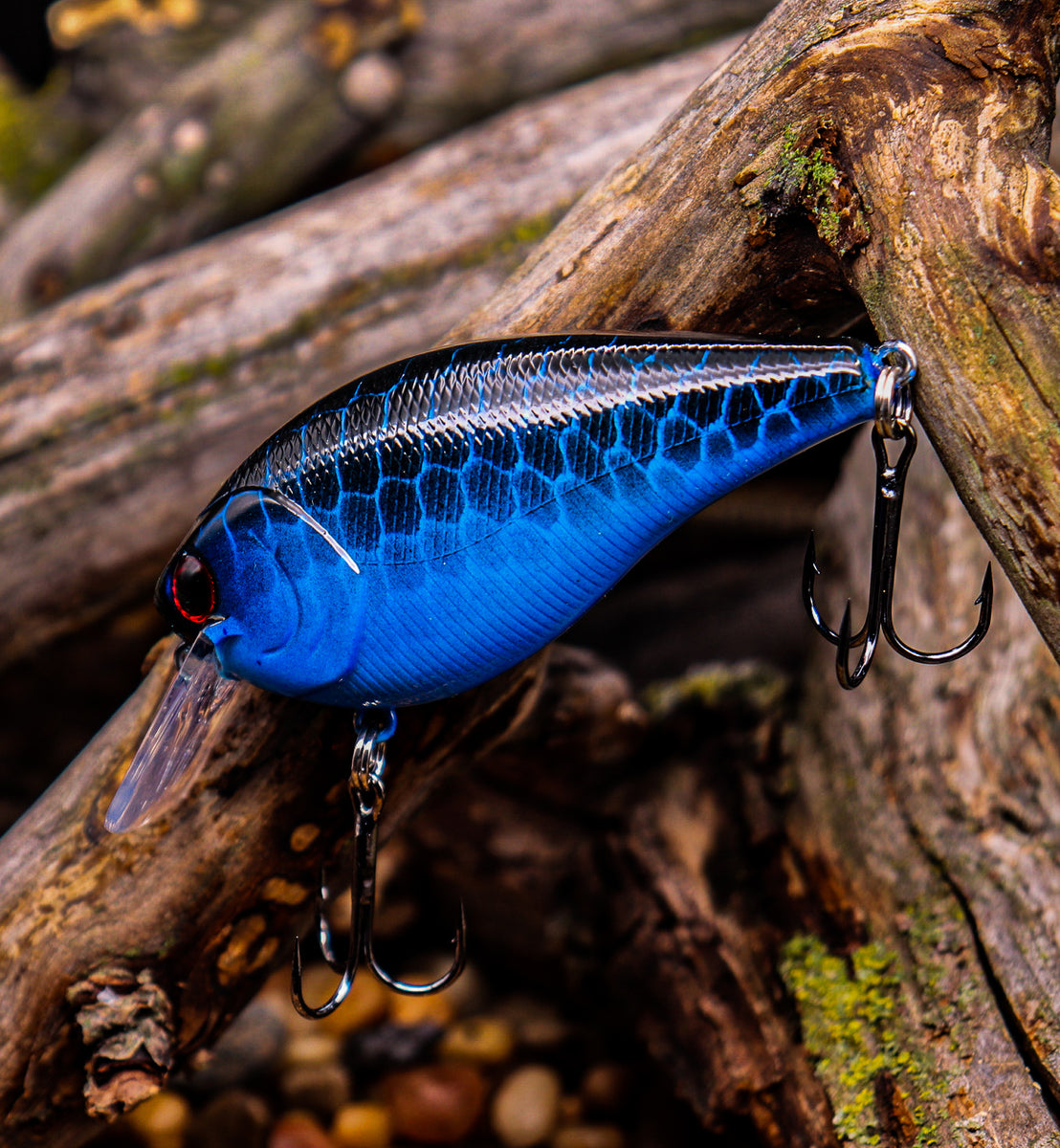 2.5 Square Bill Blueberry Yum Yum Knocker leatherheadbaits